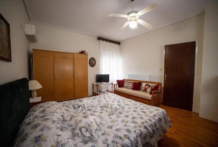 Loft House Trikala 아파트 외부 사진